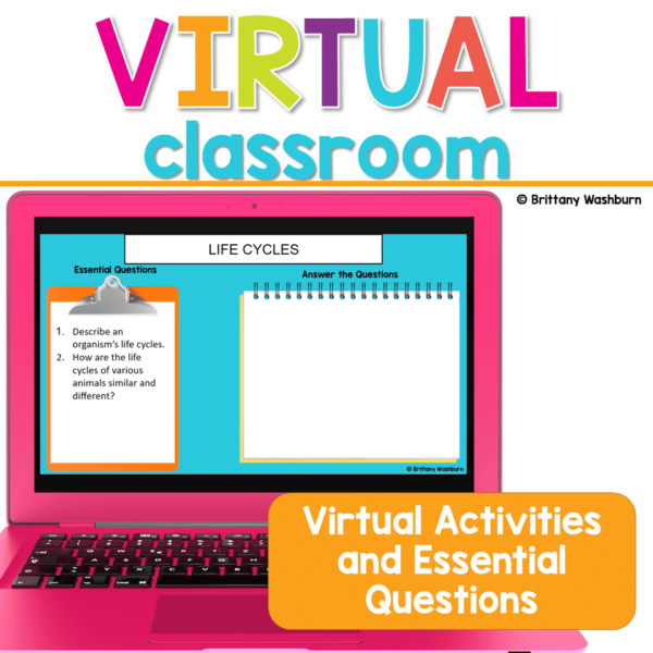 Life-Cycles-Virtual-Classroom-2-1.png Life-Cycles-Virtual-Classroom-2-1.png